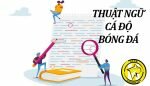 thuật ngữ cá độ bóng đá